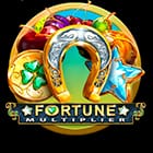 Fortune Multiplier