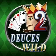 Deuces WildPlayace game screenshot